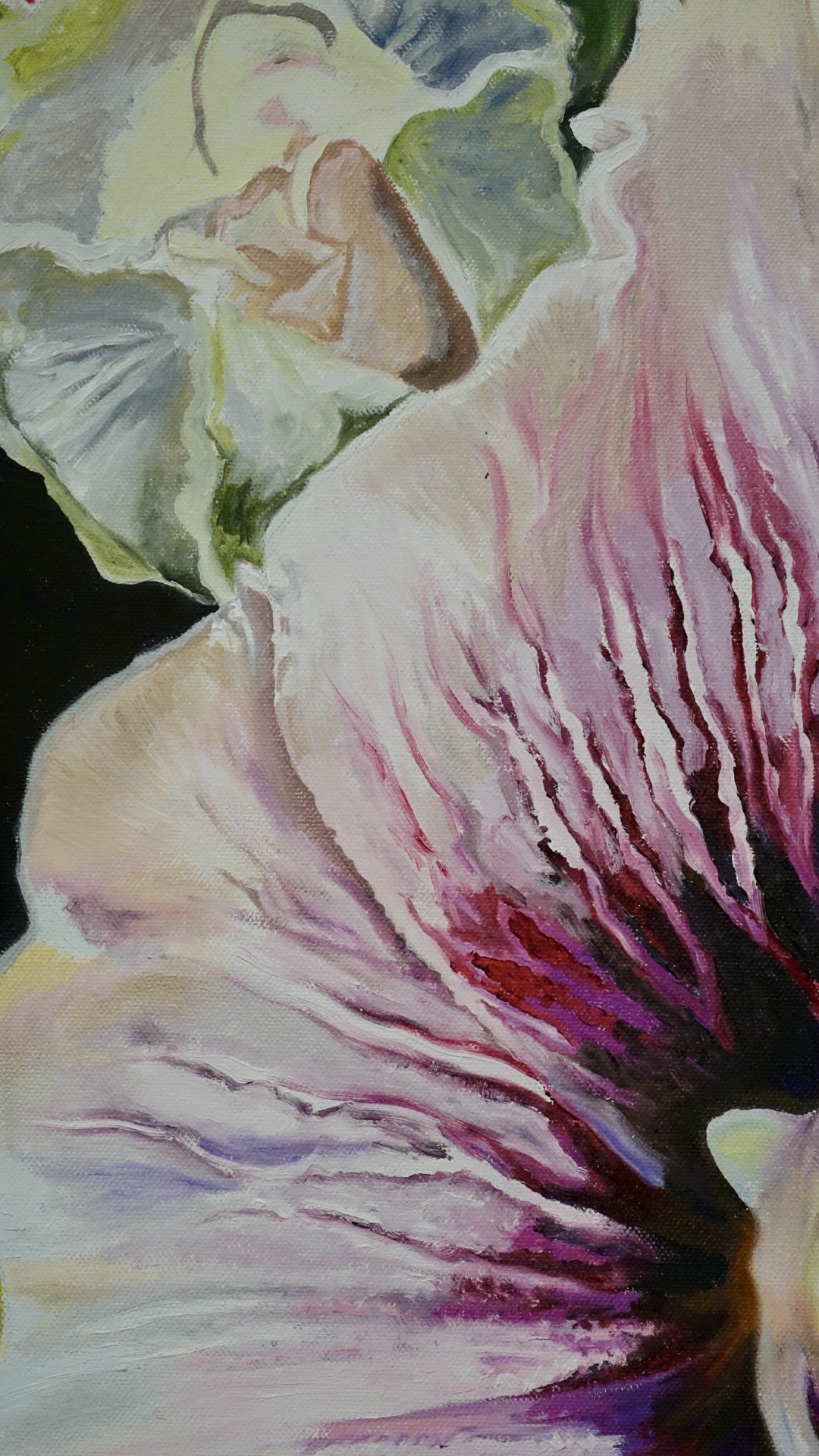 Pink hibiscus detail