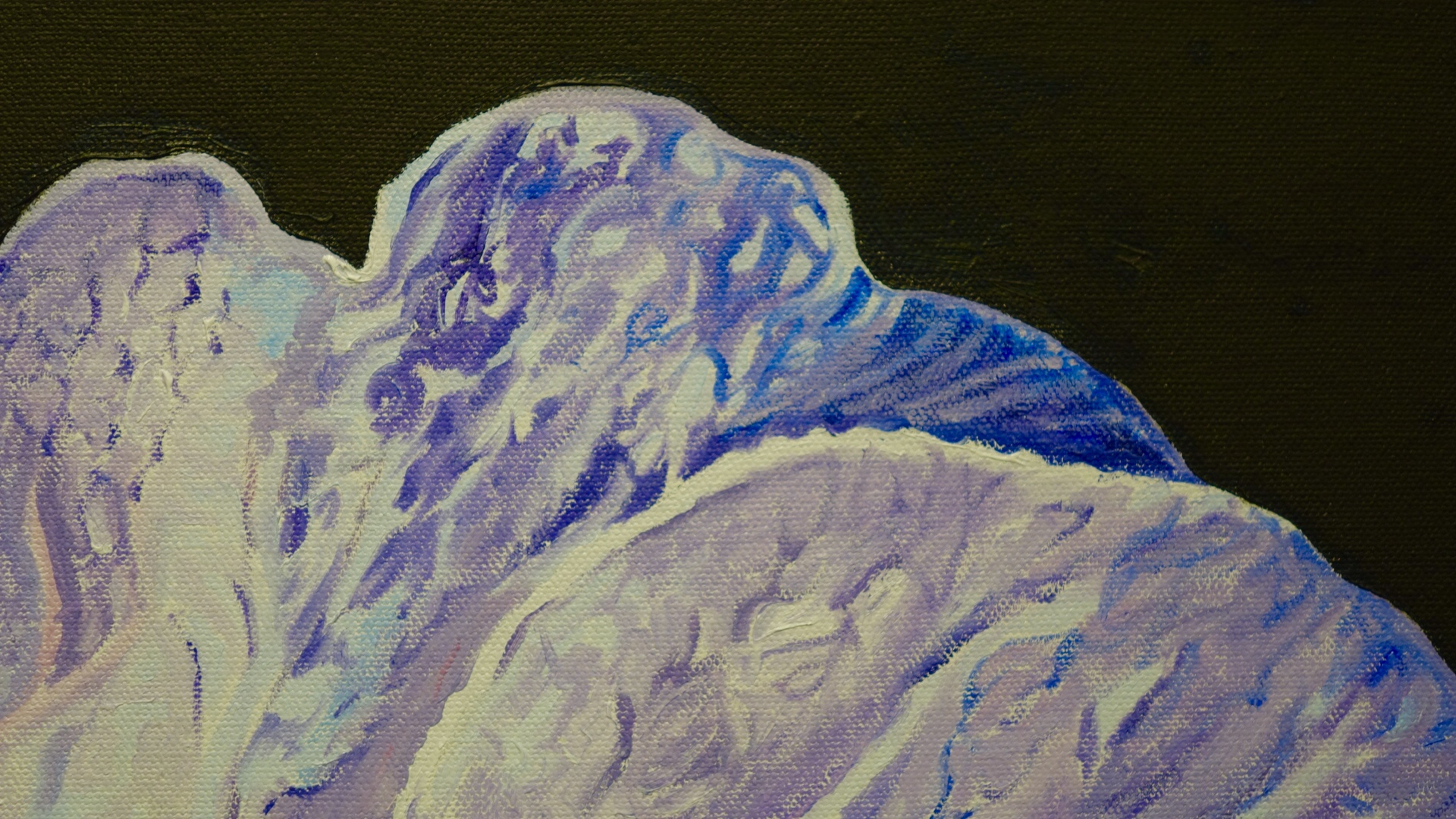 Purple hibiscus detail